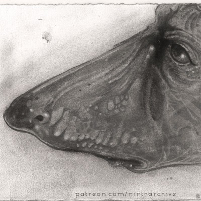 Graphite sketch of a sad-eyed dog's head, with wavy fractal patterns, teeth, and lithic shapes within its skin.