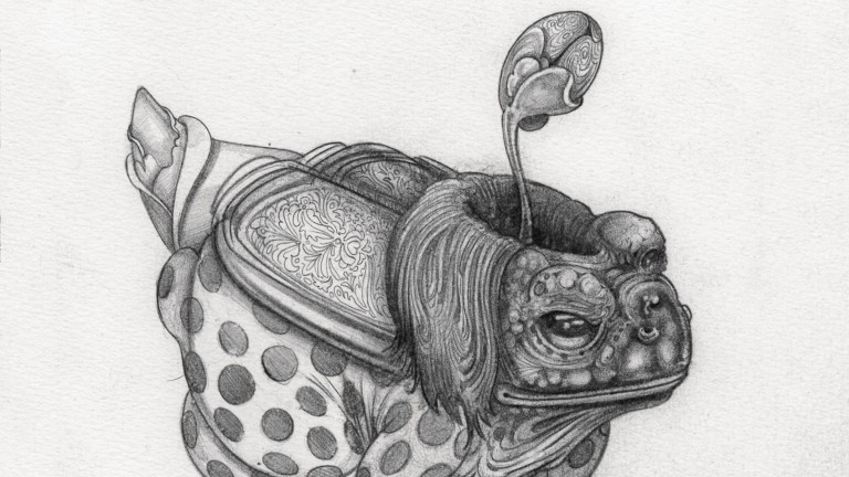 Graphite sketch of a polka-dotted frog-turtle with a folded beetlelike wings and a concave skull, from which emerges a flowerbud-like frond.